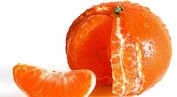 Počela sezona mandarina