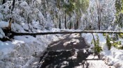 OPREZ, na cesti prema Platku pod težinom snijega ruše se drveća
